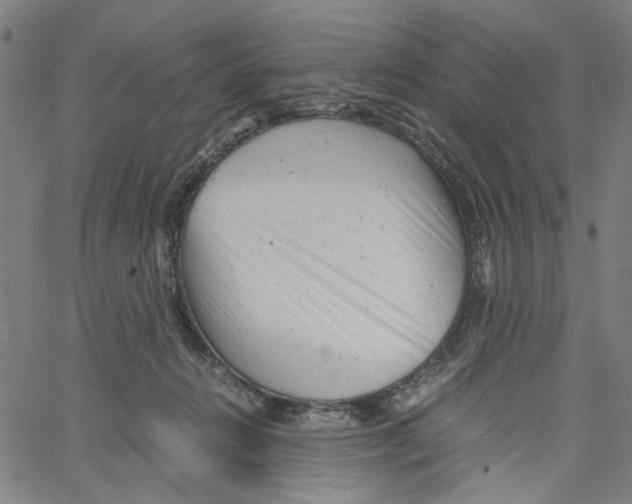 X0000061120270200512161447