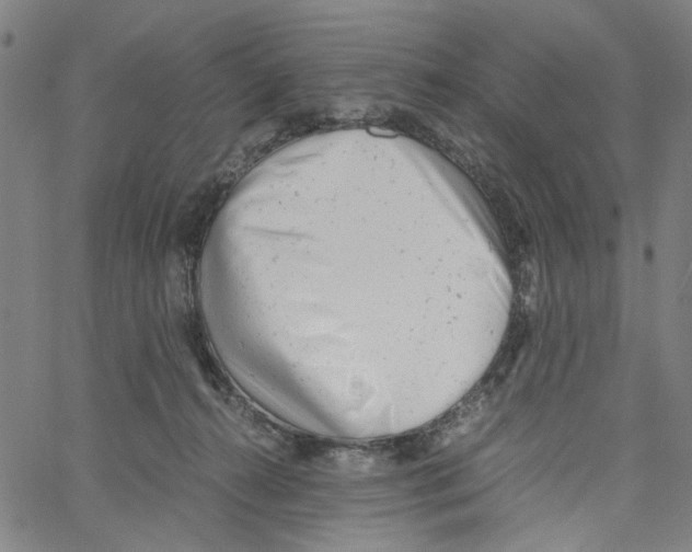 X0000061120272200512161447