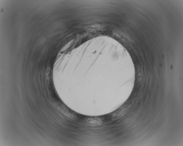 X0000061120275200512161447