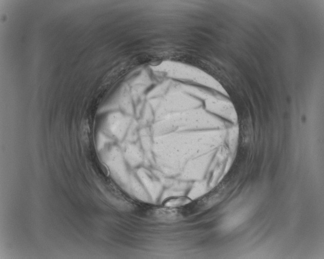 X0000061120279200512161447