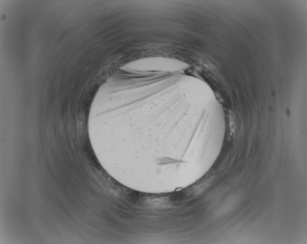 X0000061120283200512161447