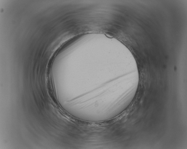X0000061120290200512161446