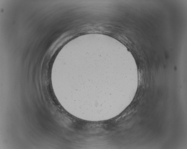 X0000061120291200512161446
