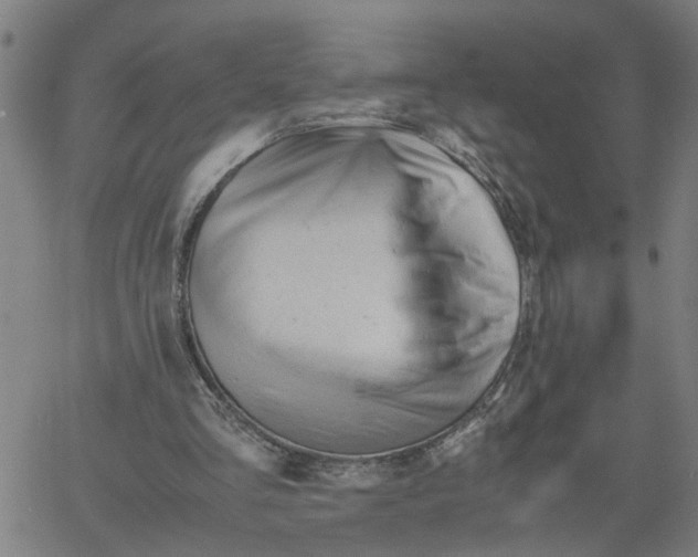 X0000061120293200512161446