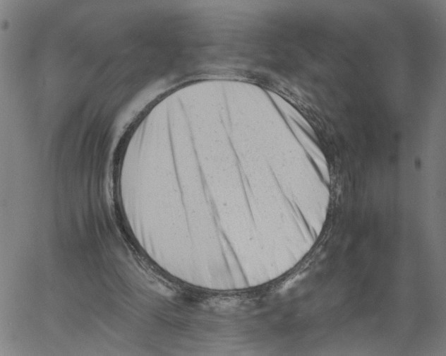 X0000061120294200512161446