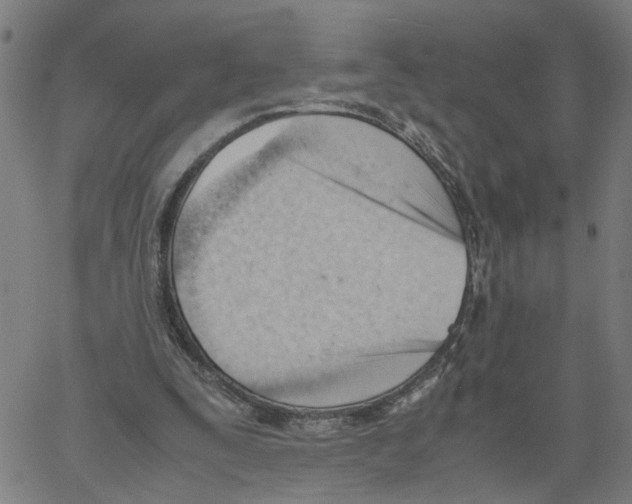 X0000061120295200512161446