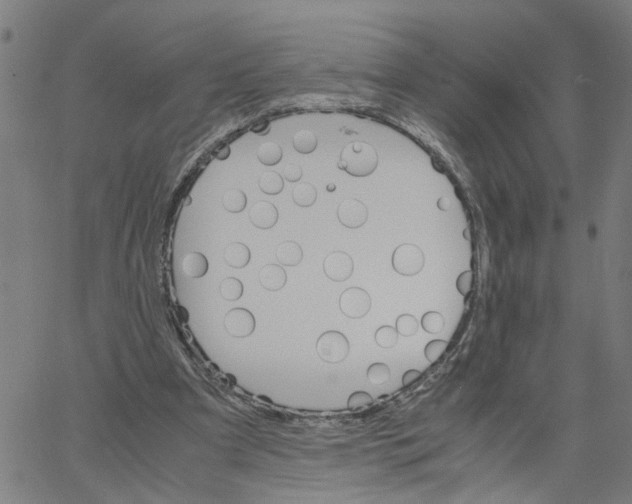 X0000061120297200512161446
