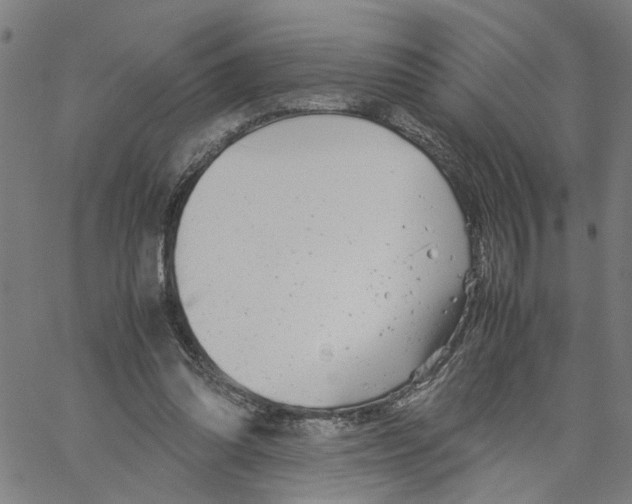 X0000061120302200512161446