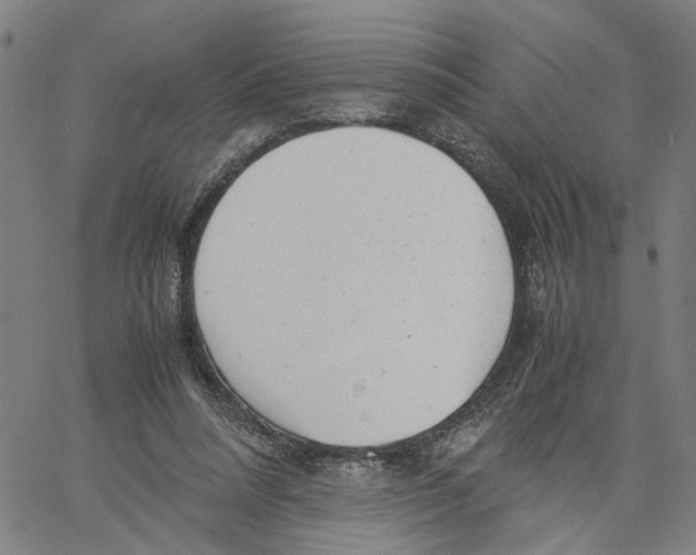 X0000061120304200512161446