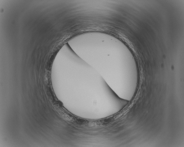X0000061120305200512161446
