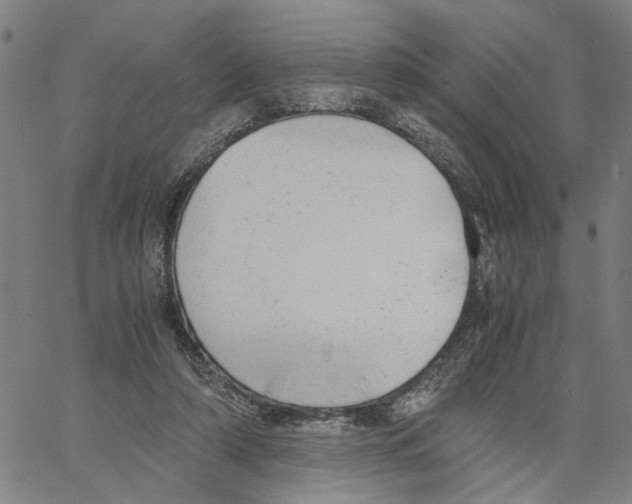 X0000061120306200512161446