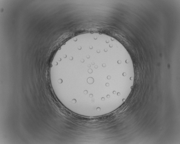 X0000061120309200512161446