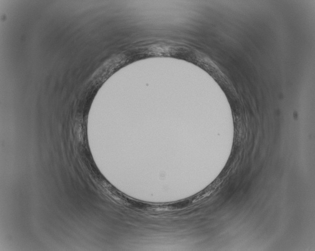 X0000061120313200512161446