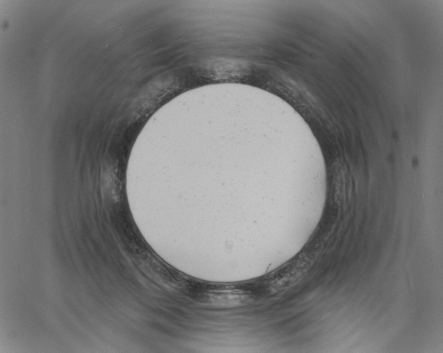 X0000061120316200512161446