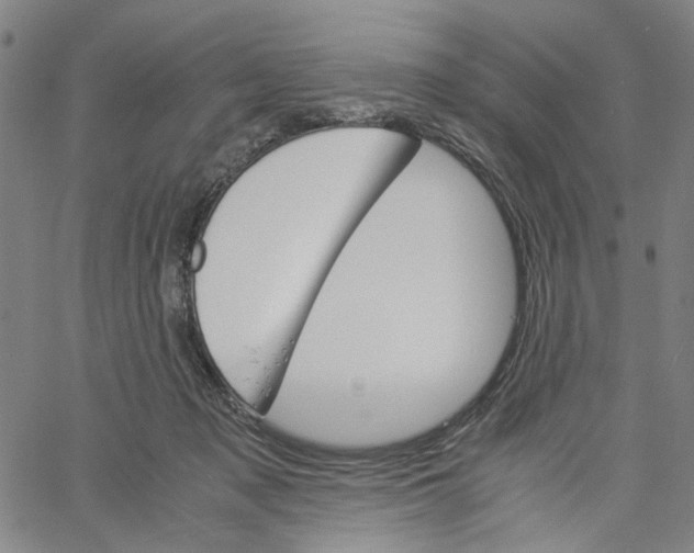 X0000061120317200512161446