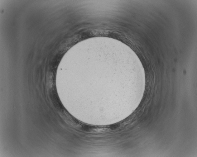 X0000061120323200512161446