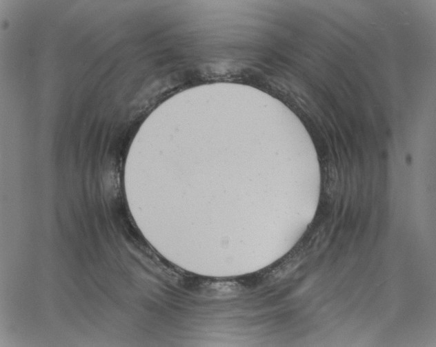 X0000061120324200512161446