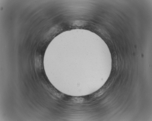 X0000061120328200512161445