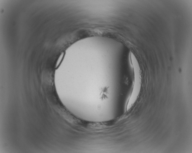X0000061120331200512161445