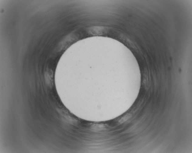 X0000061120332200512161445