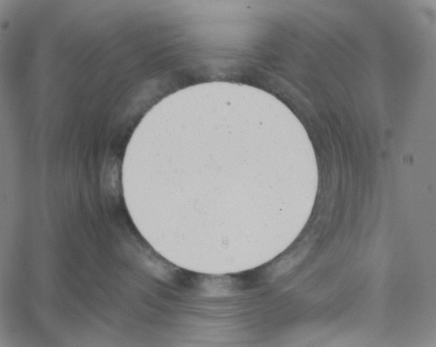 X0000061120336200512161445