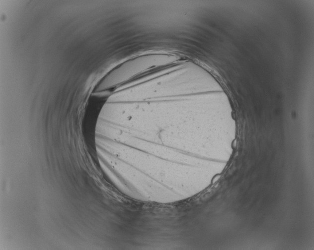X0000061120337200512161445