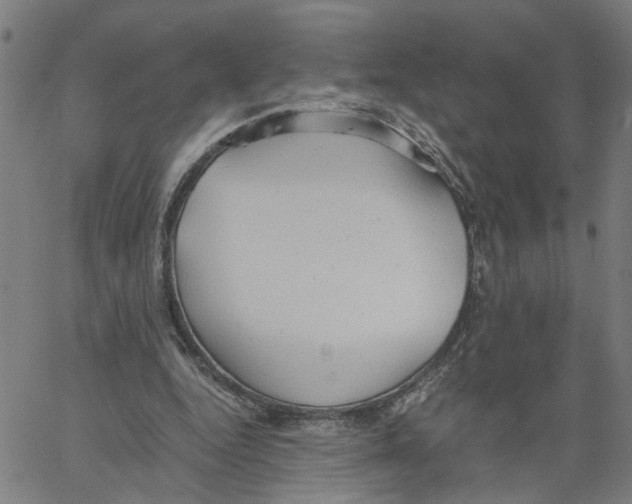 X0000061120344200512161445