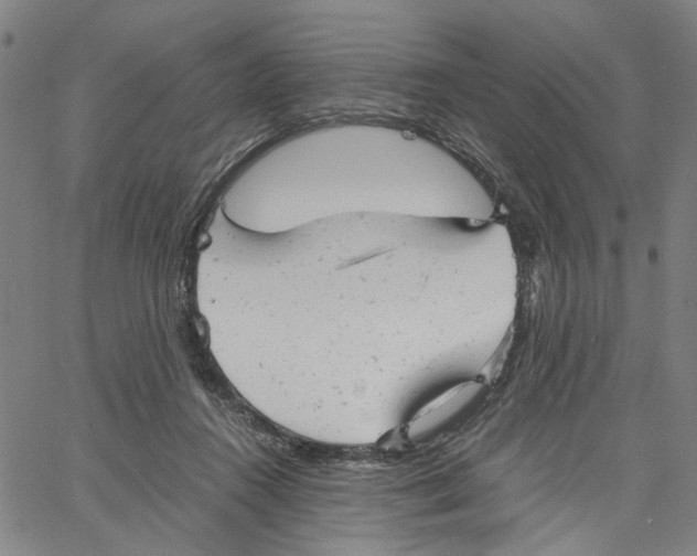 X0000061120360200512161445