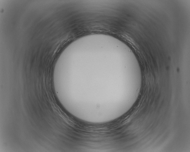 X0000061120365200512161445