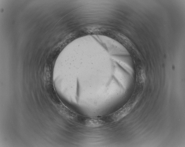 X0000061120372200512161445
