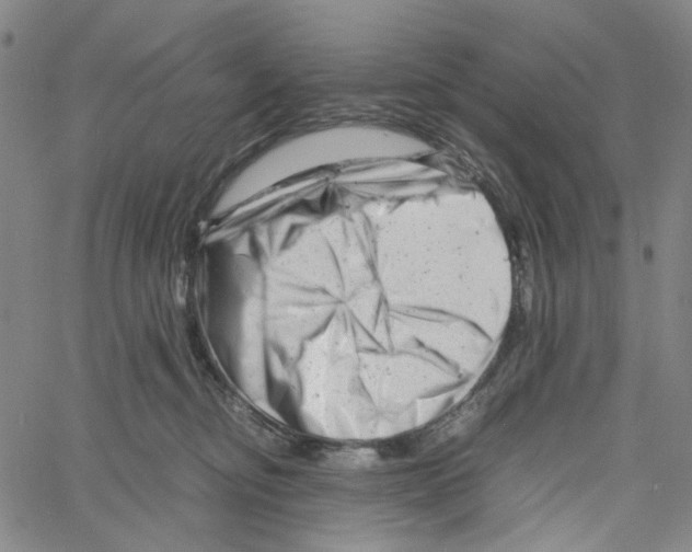 X0000061120374200512161445