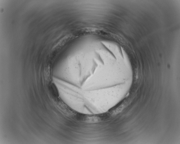X0000061120376200512161445
