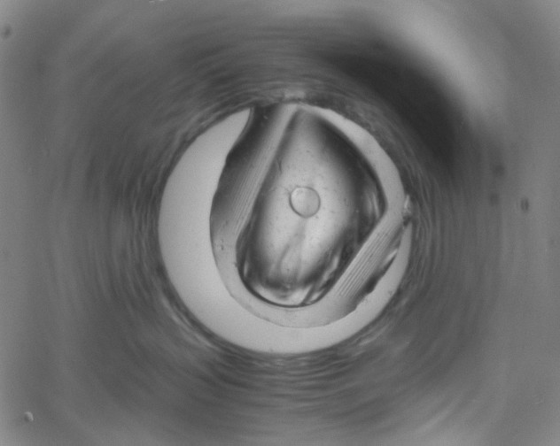 X0000061120383200512161445