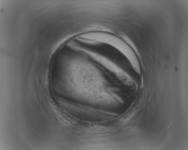 X0000061120387200512161444