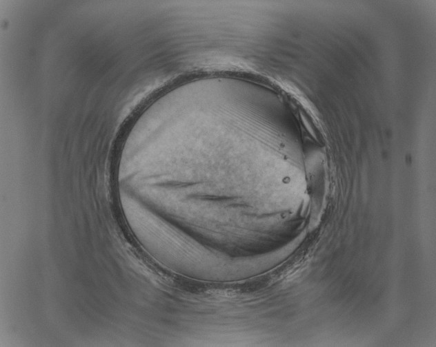 X0000061120391200512161444