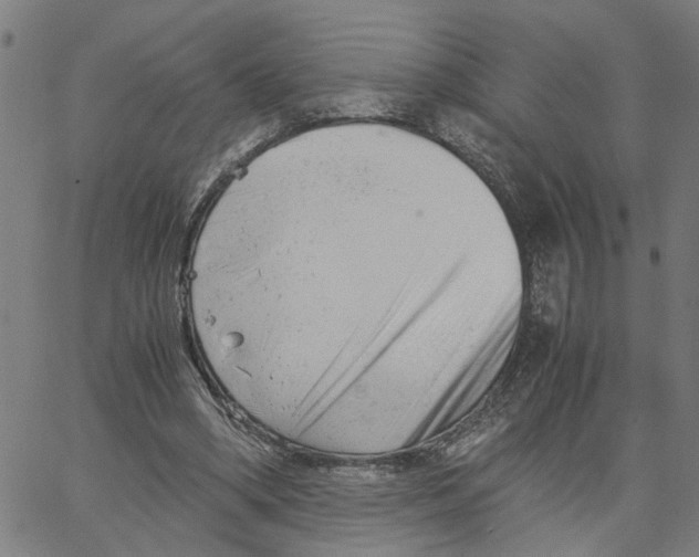 X0000061120394200512161444