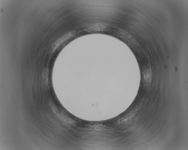 X0000061120396200512161444