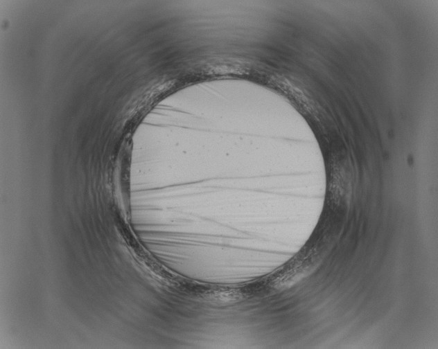 X0000061120402200512161444