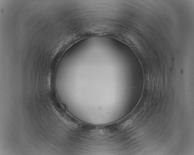 X0000061120404200512161444