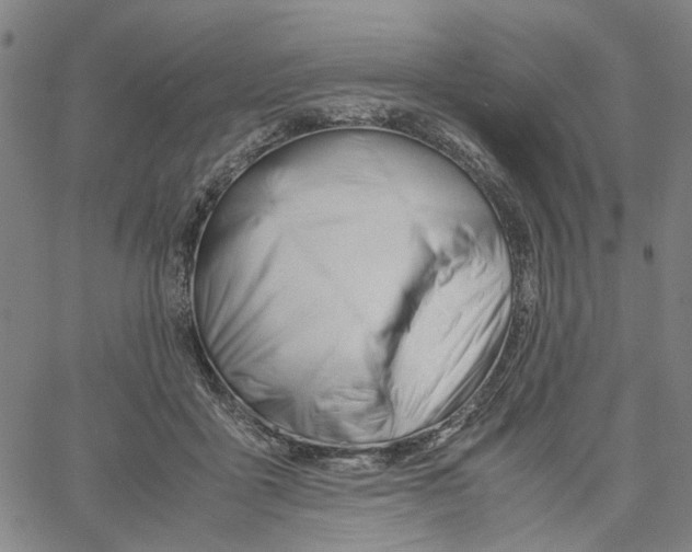 X0000061120411200512161444