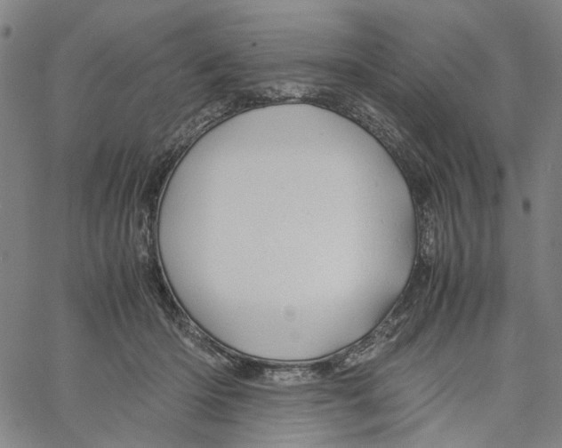 X0000061120414200512161444