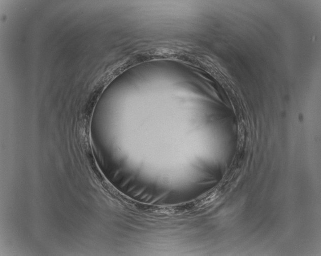 X0000061120415200512161444