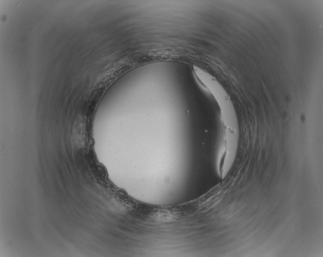 X0000061120416200512161444