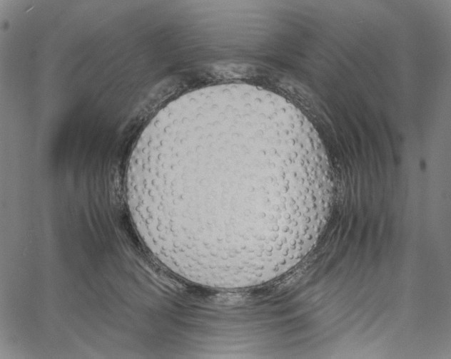 X0000061120418200512161444