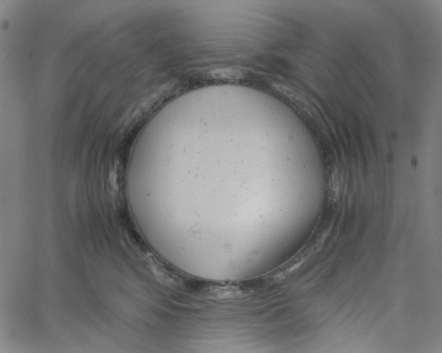 X0000061120424200512161444