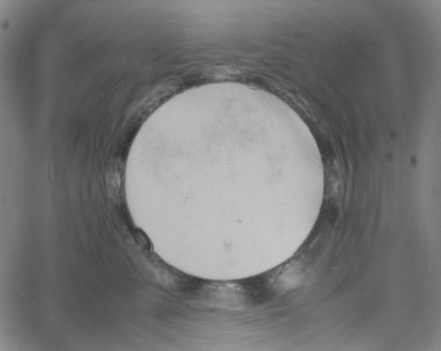 X0000061120427200512161444