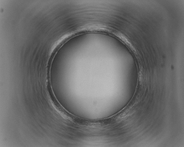 X0000061120438200512161443