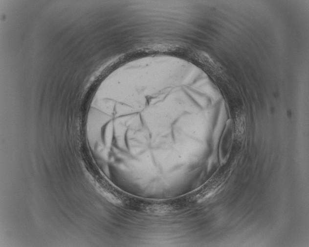 X0000061120444200512161443