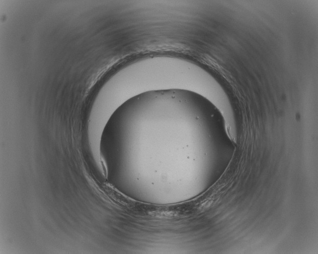 X0000061120448200512161443