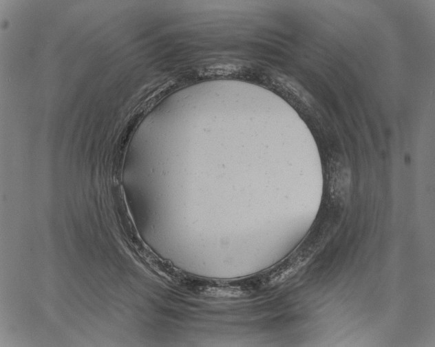 X0000061120455200512161443